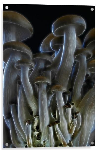 Magic Mushrooms Acrylic by Ann Garrett