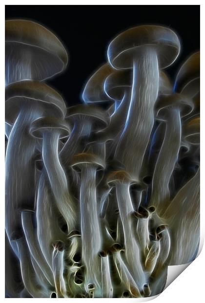 Magic Mushrooms Print by Ann Garrett