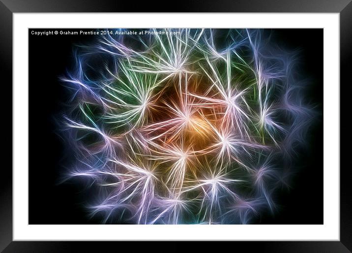 Colourful Dandelion Clock Framed Mounted Print by Graham Prentice