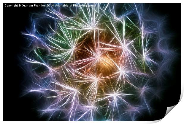 Colourful Dandelion Clock Print by Graham Prentice