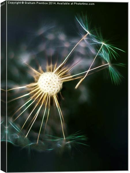 Dandelion Seeds Dispersing Canvas Print by Graham Prentice