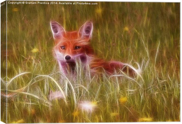 Cute Fox Cub Canvas Print by Graham Prentice