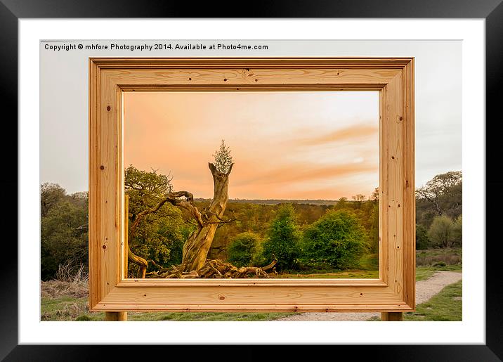An English Landscape Framed Mounted Print by mhfore Photography