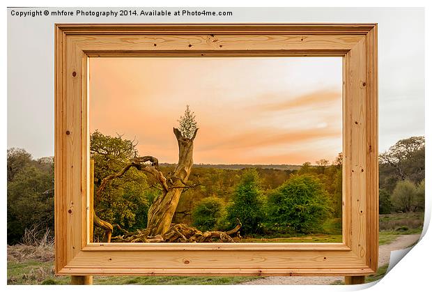 An English Landscape Print by mhfore Photography