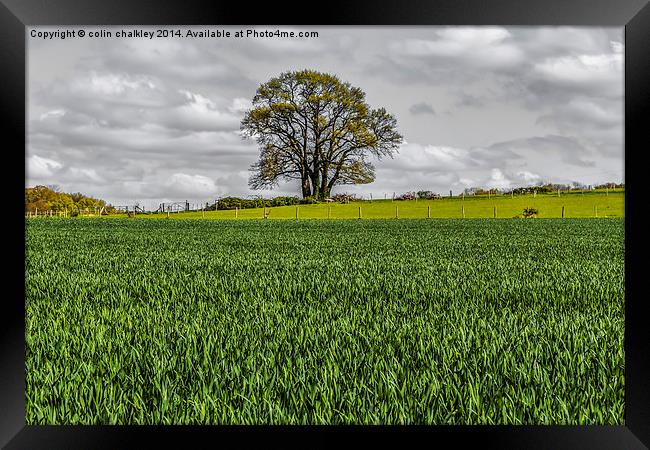 The English Countryside Framed Print by colin chalkley