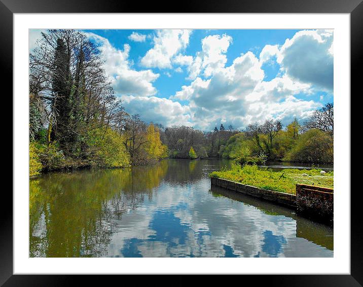Mill Pond Framed Mounted Print by Mark  F Banks