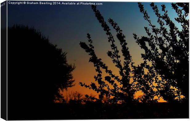 End of the Day Canvas Print by Graham Beerling