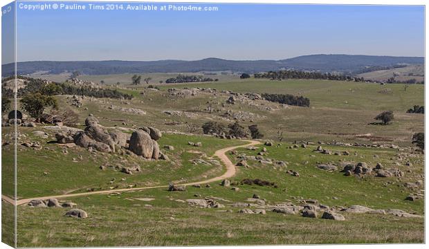 Rocky Landscape at Pyalong, Victoria Canvas Print by Pauline Tims