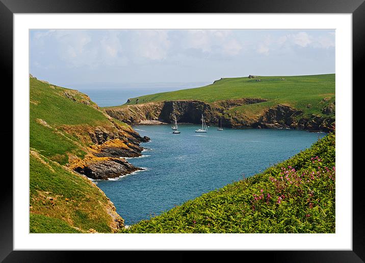 Skomer Island Framed Mounted Print by Gö Vān