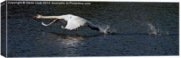 Swan becoming airborne Canvas Print by Steve H Clark