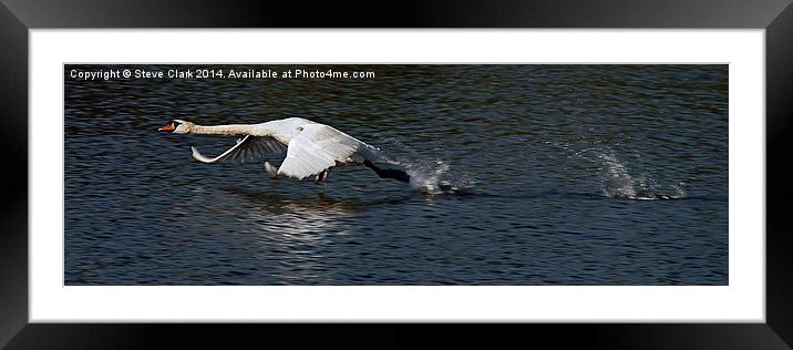 Swan becoming airborne Framed Mounted Print by Steve H Clark