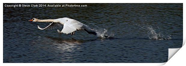 Swan becoming airborne Print by Steve H Clark