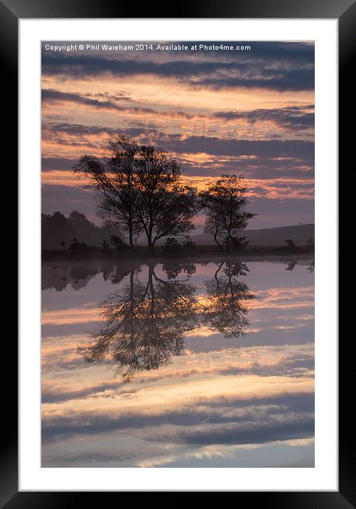 Reflections on a pond Framed Mounted Print by Phil Wareham