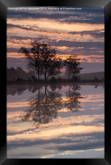 Reflections on a pond Framed Print by Phil Wareham