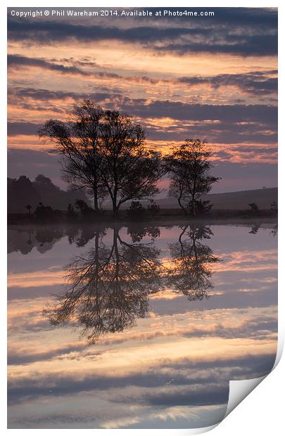 Reflections on a pond Print by Phil Wareham