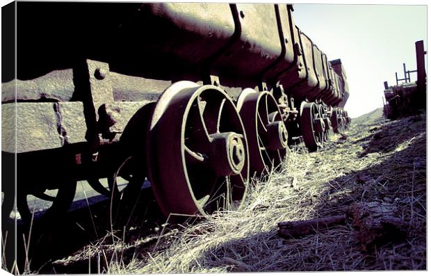 Coal Trucks left to rust Canvas Print by Kelvin Futcher 2D Photography