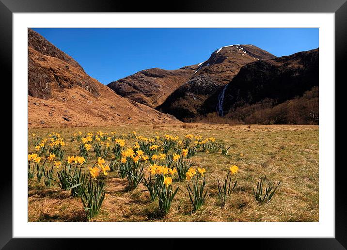 Glen Nevis In Spring Framed Mounted Print by James Buckle