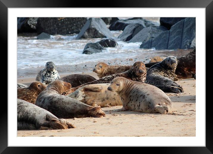 On The Beach Framed Mounted Print by Derek Gladman