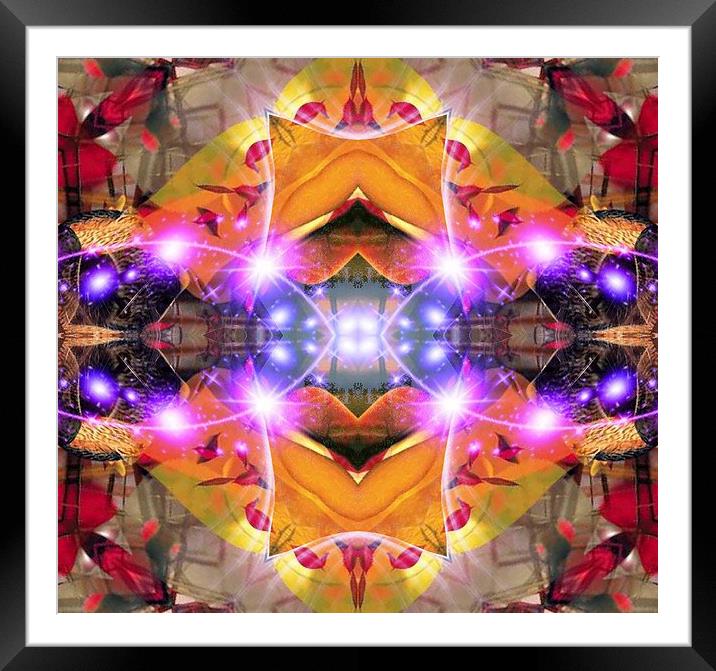 Abstract Flower Framed Mounted Print by Matthew Lacey