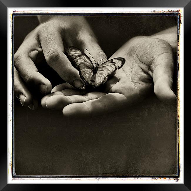 The Butterfly Effect (square version) Framed Print by Abdul Kadir Audah