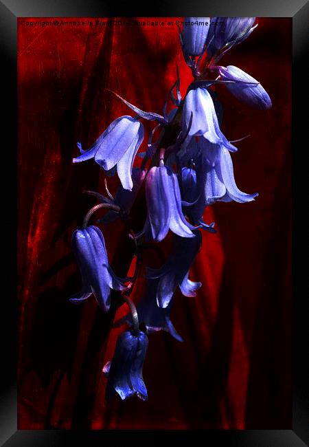 Bluebells on Red Framed Print by Annabelle Ward