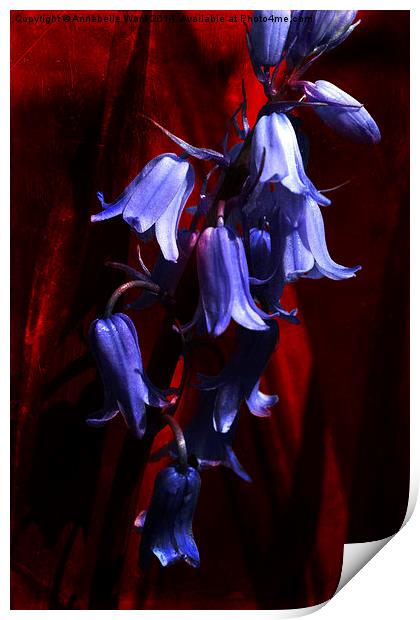 Bluebells on Red Print by Annabelle Ward