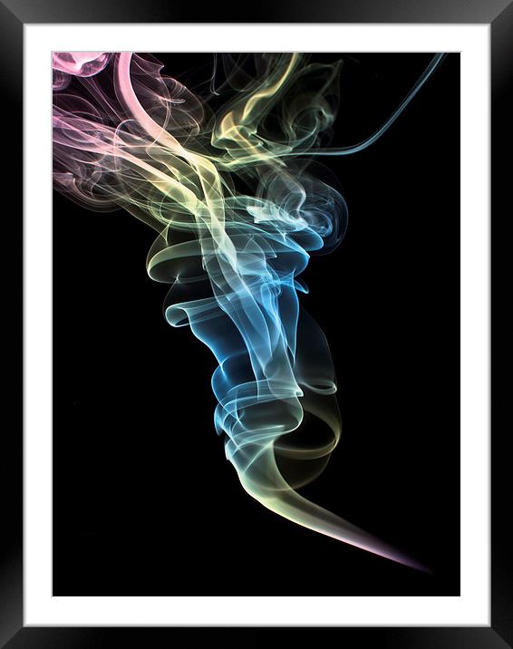 Smokey 1 Framed Mounted Print by Steve Purnell