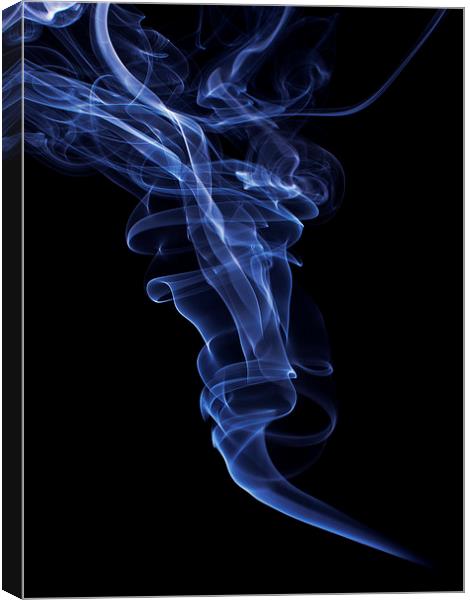 Smokey 2 Canvas Print by Steve Purnell