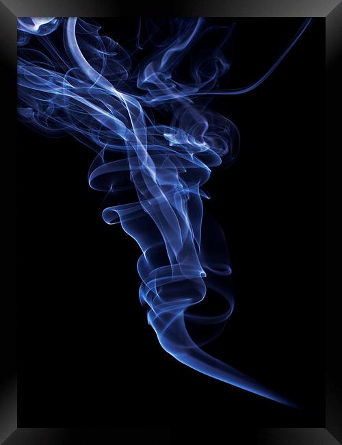 Smokey 2 Framed Print by Steve Purnell