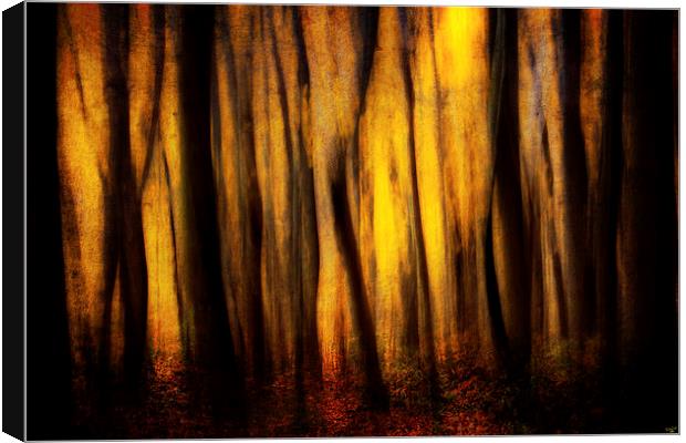 Autumn Forest Abstract Canvas Print by Chris Lord