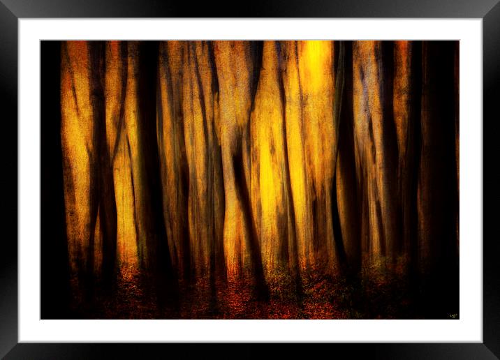 Autumn Forest Abstract Framed Mounted Print by Chris Lord