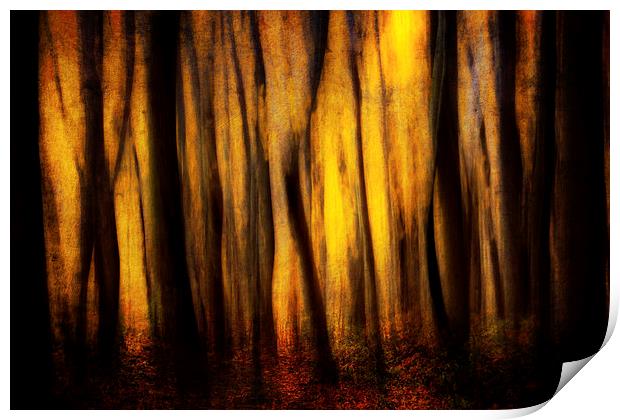 Autumn Forest Abstract Print by Chris Lord