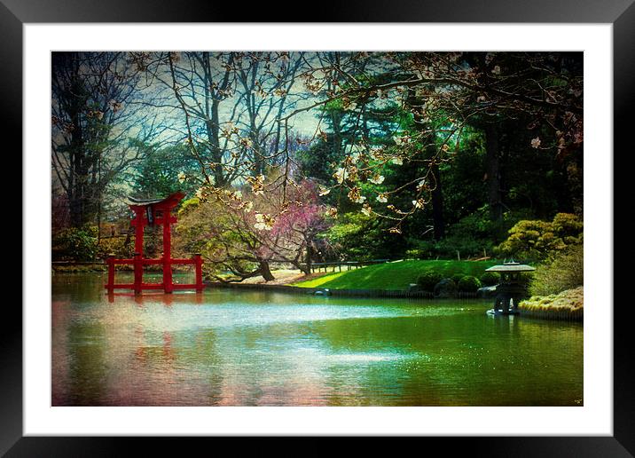 Japanese Garden In Spring Framed Mounted Print by Chris Lord