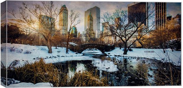 Good Morning Winter Canvas Print by Chris Lord