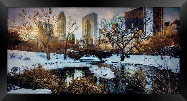 Good Morning Winter Framed Print by Chris Lord