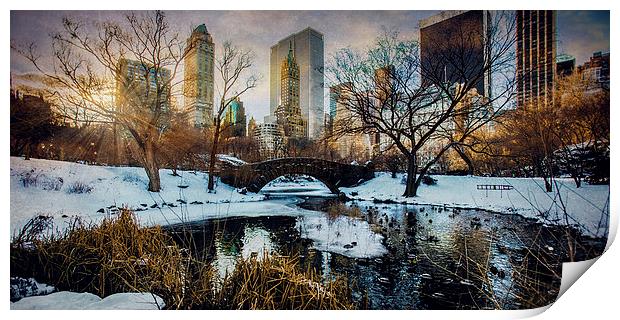 Good Morning Winter Print by Chris Lord