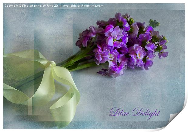 Lilac Delight Print by Fine art by Rina