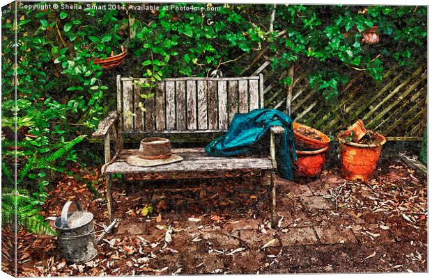 Garden bench Canvas Print by Sheila Smart
