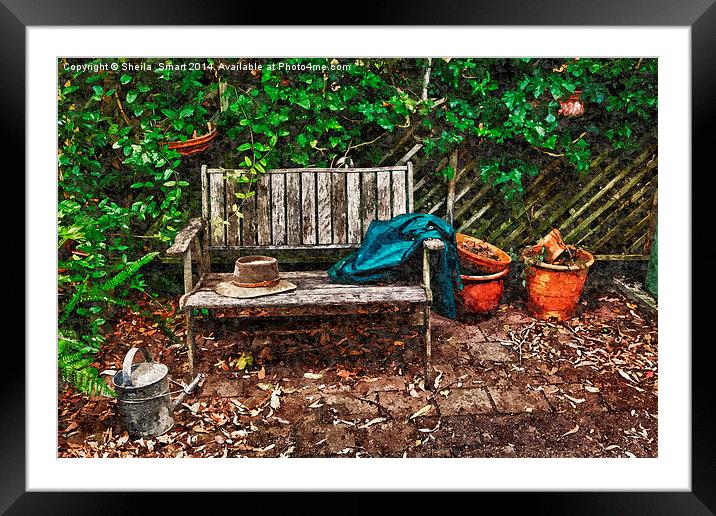 Garden bench Framed Mounted Print by Sheila Smart