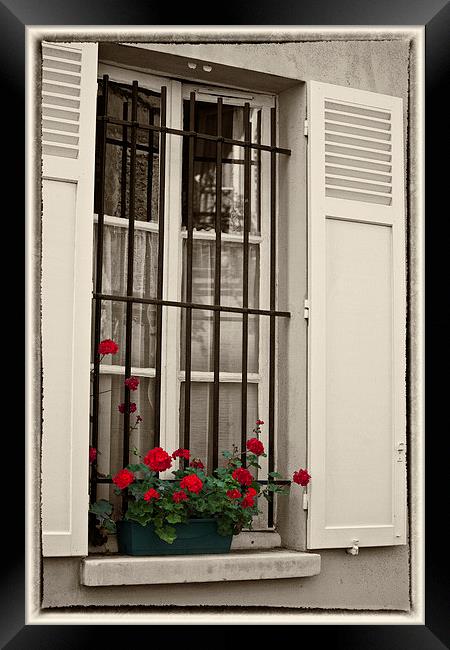 Paris window box Framed Print by Sheila Smart