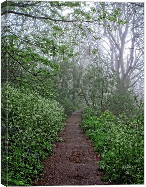 mist over suffolk Canvas Print by chrissy woodhouse