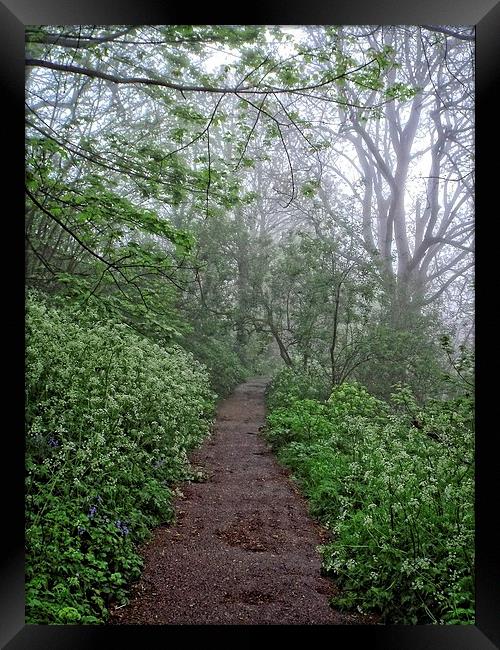 mist over suffolk Framed Print by chrissy woodhouse