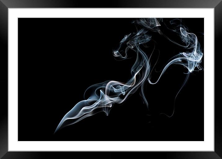 Smokey 6 Framed Mounted Print by Steve Purnell