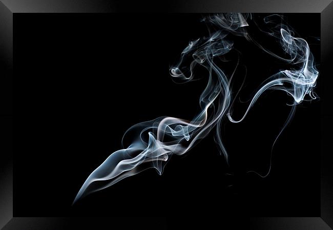 Smokey 6 Framed Print by Steve Purnell