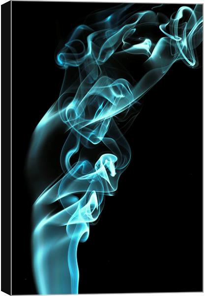 Smokey 8 Canvas Print by Steve Purnell