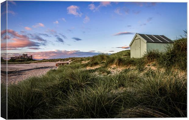 Shed with a view Canvas Print by Richard Armstrong