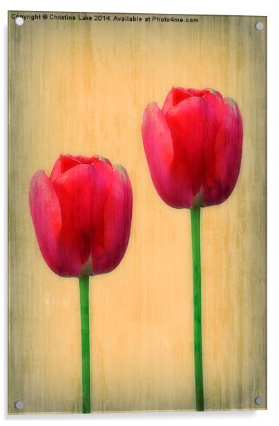 Spring Tulips Acrylic by Christine Lake