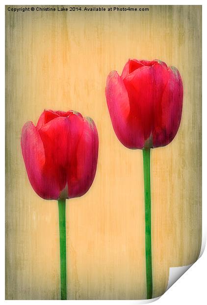 Spring Tulips Print by Christine Lake