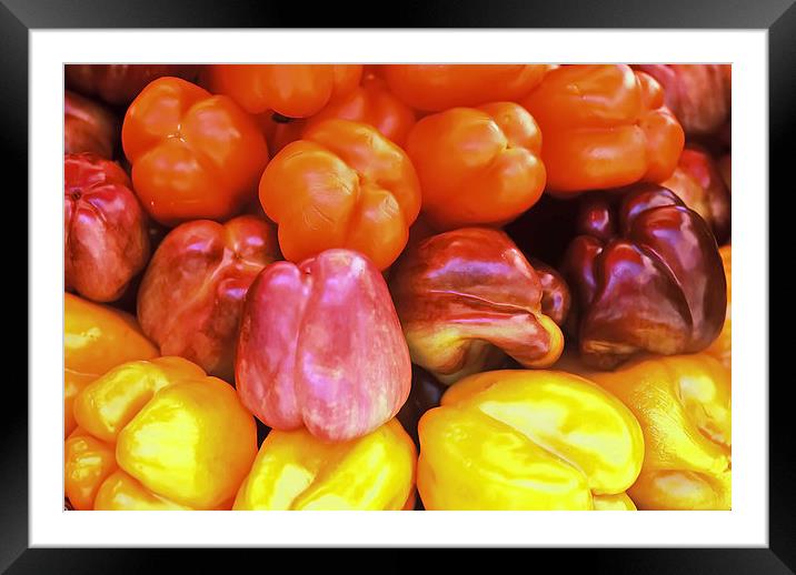 Red and Yellow Capsicums Framed Mounted Print by Jacqueline Burrell