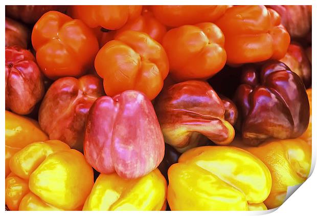 Red and Yellow Capsicums Print by Jacqueline Burrell